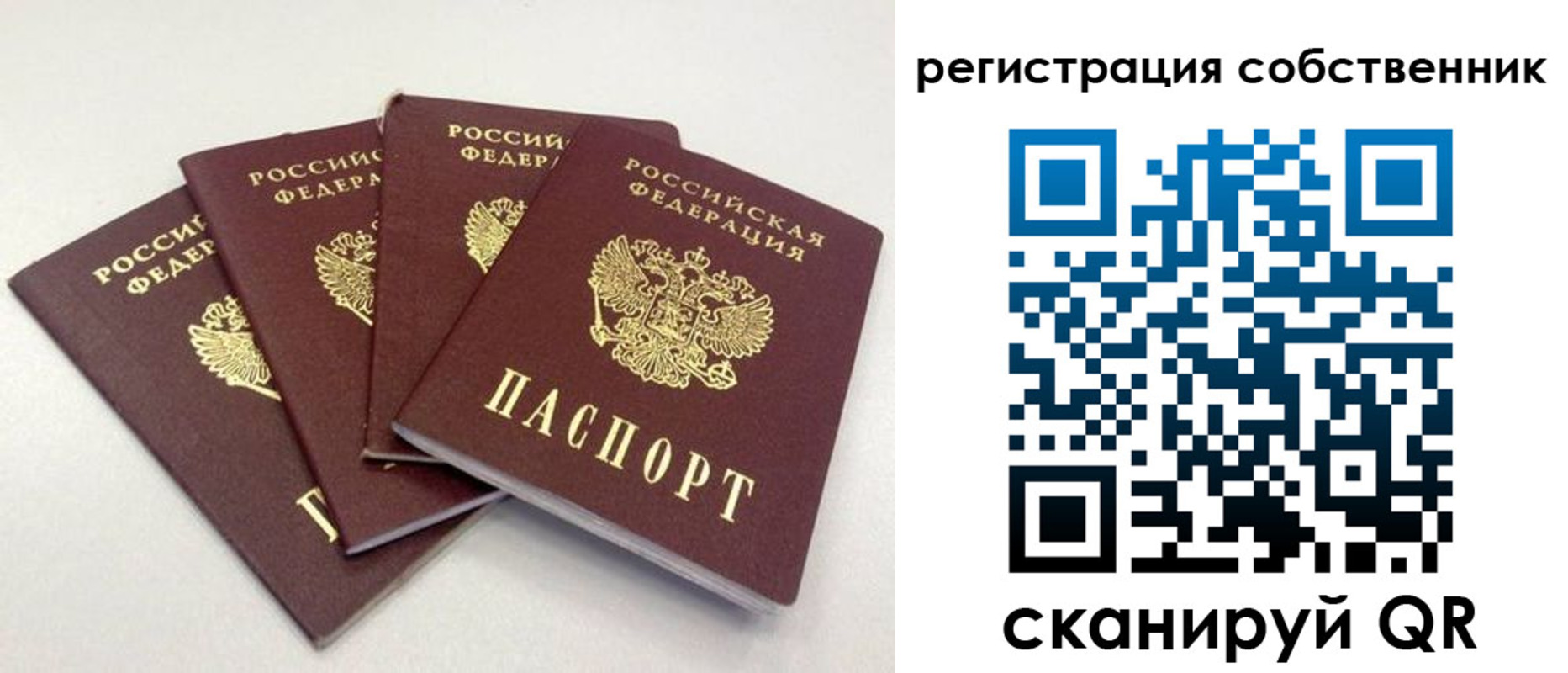 прописка для школы в Абинске